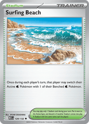129 Surfing Beach - Mega Evolution