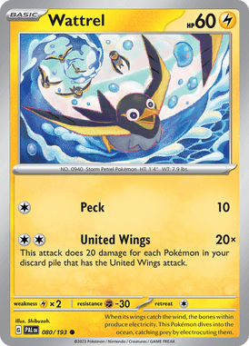 080 Wattrel - Paldea Evolved