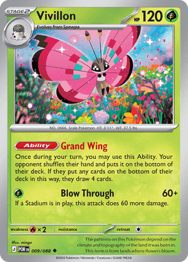 009 Vivillon – Perfect Order