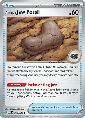 068 Antique Jaw Fossil – Perfect Order