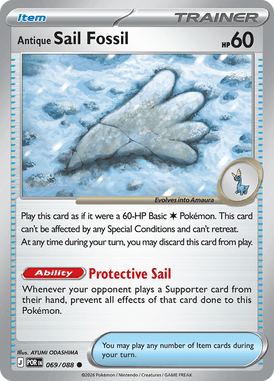 069 Antique Sail Fossil – Perfect Order