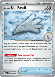 069 Antique Sail Fossil – Perfect Order