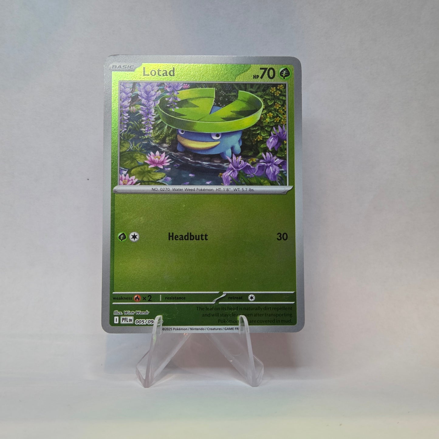 Lotad #005 - Phantasmal Flames