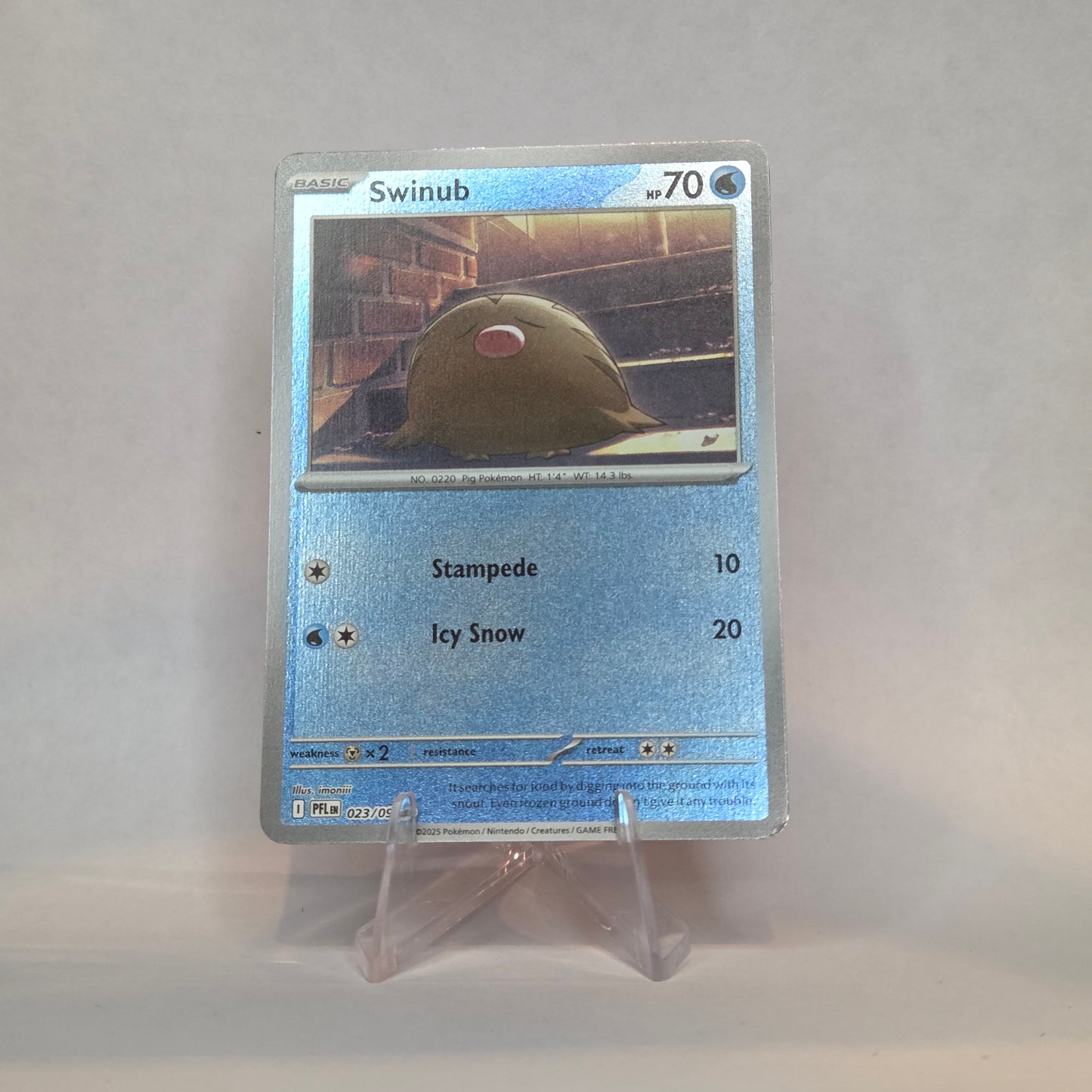 Swinub #023 - Phantasmal Flames