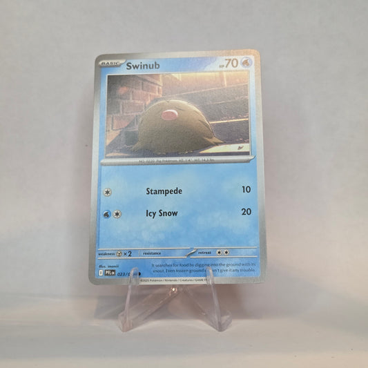 Swinub #023 - Phantasmal Flames