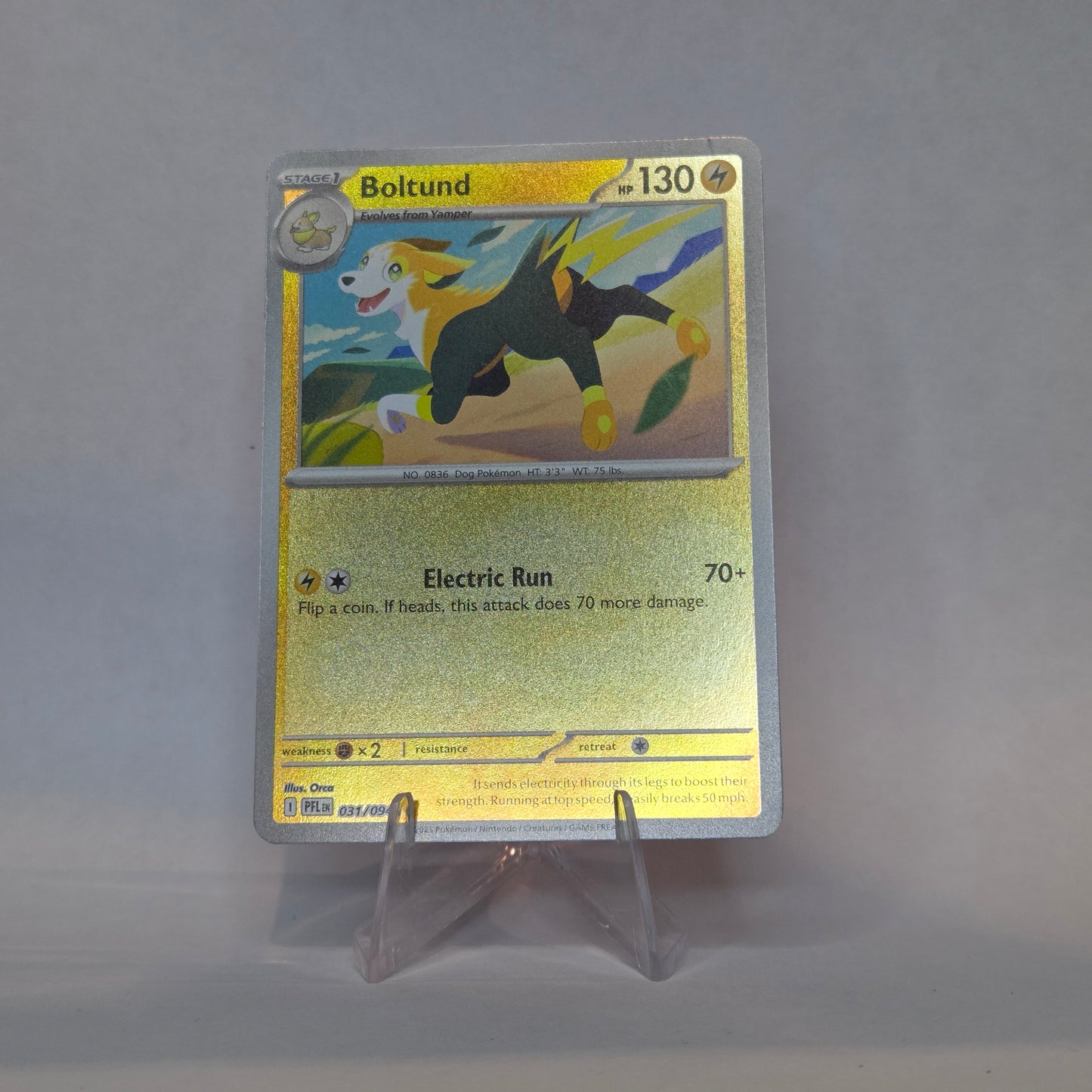 Boltund #031 - Phantasmal Flames