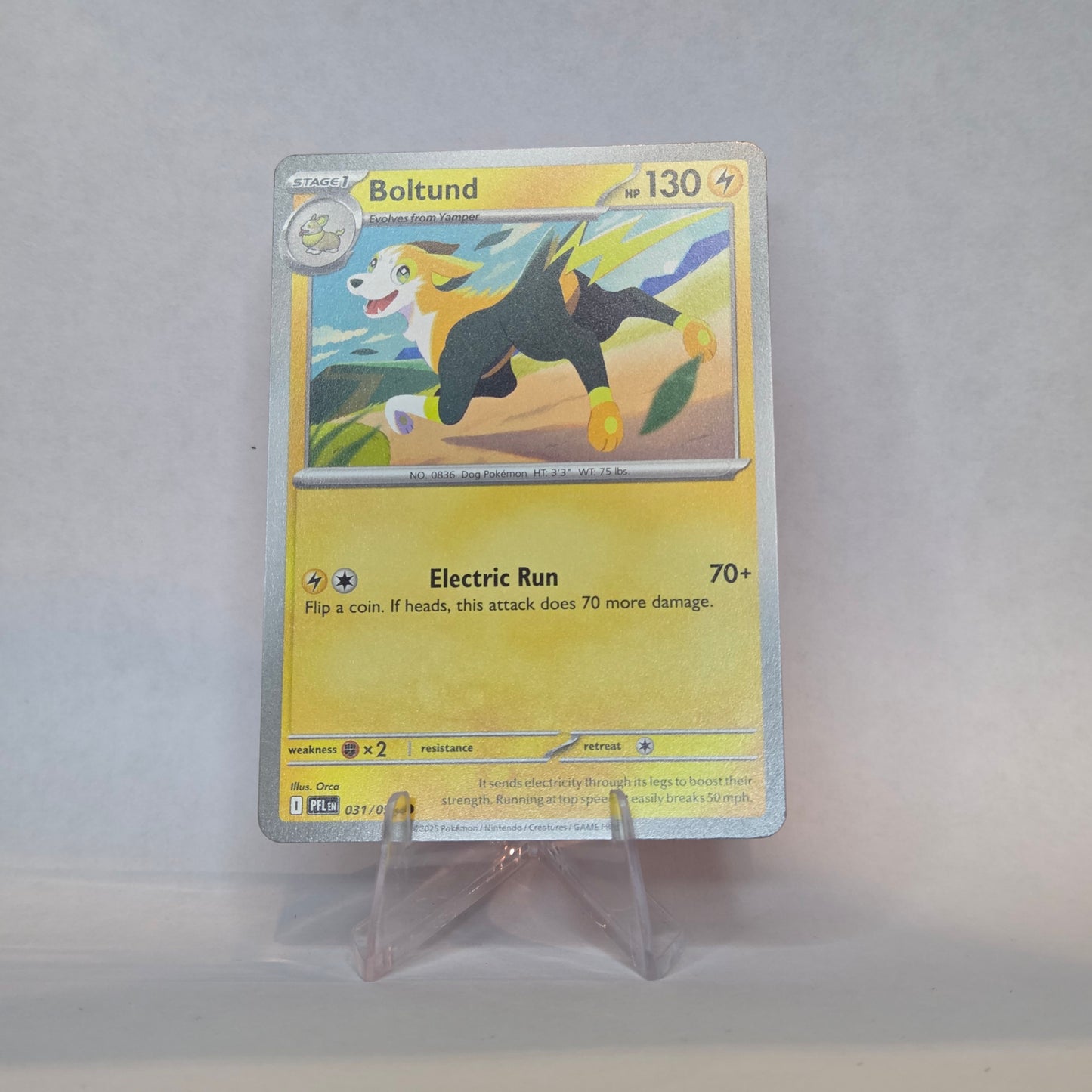 Boltund #031 - Phantasmal Flames