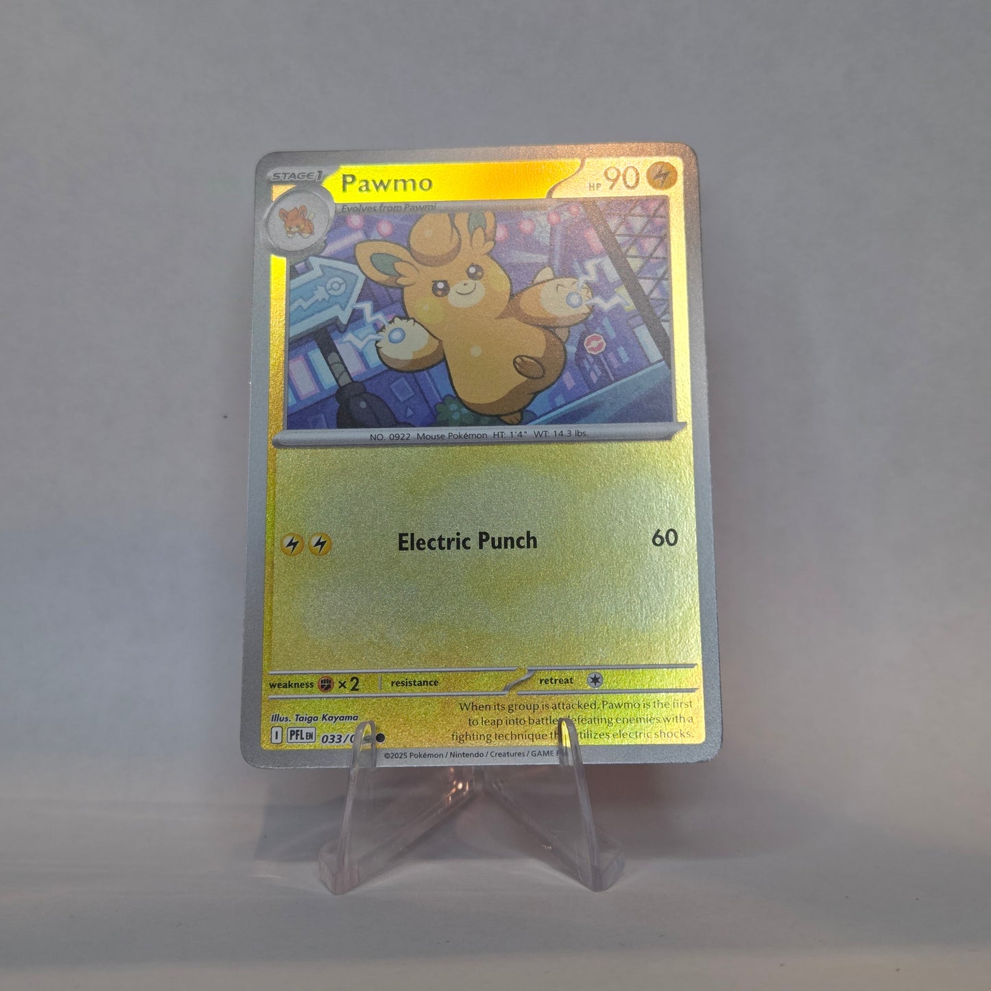 Pawmo #033 - Phantasmal Flames