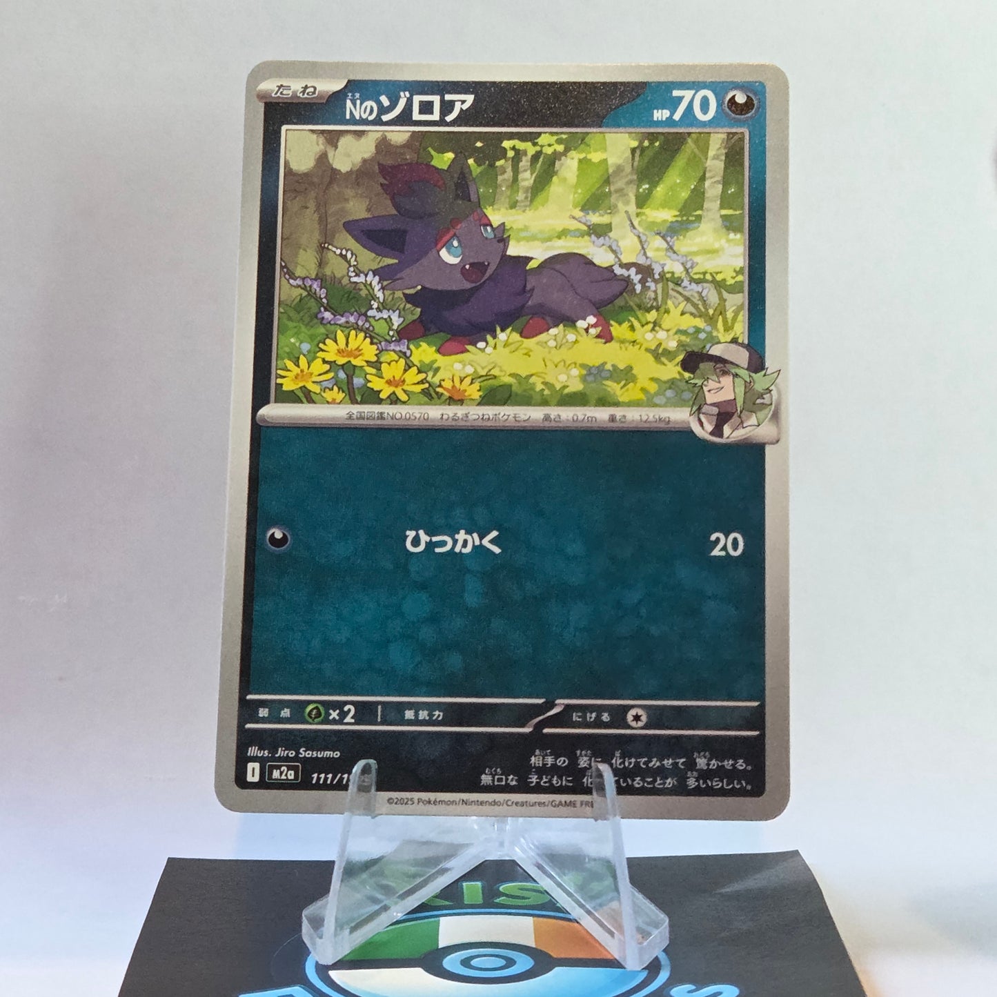 Zorua #111 Mega Dream ex