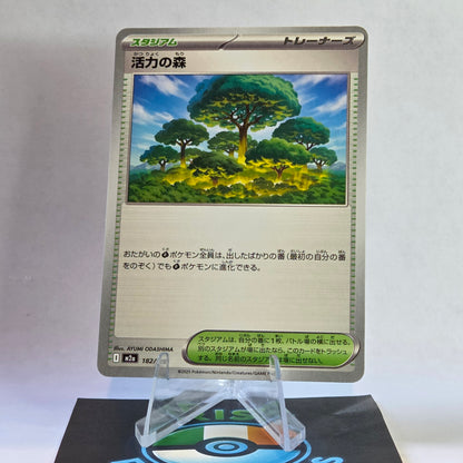 Forest of Vitality #182 Mega Dream ex