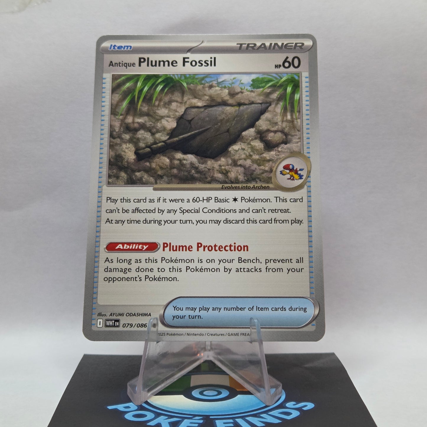 Antique Plume Fossil #079 - White Flare