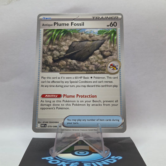 Antique Plume Fossil #079 - White Flare