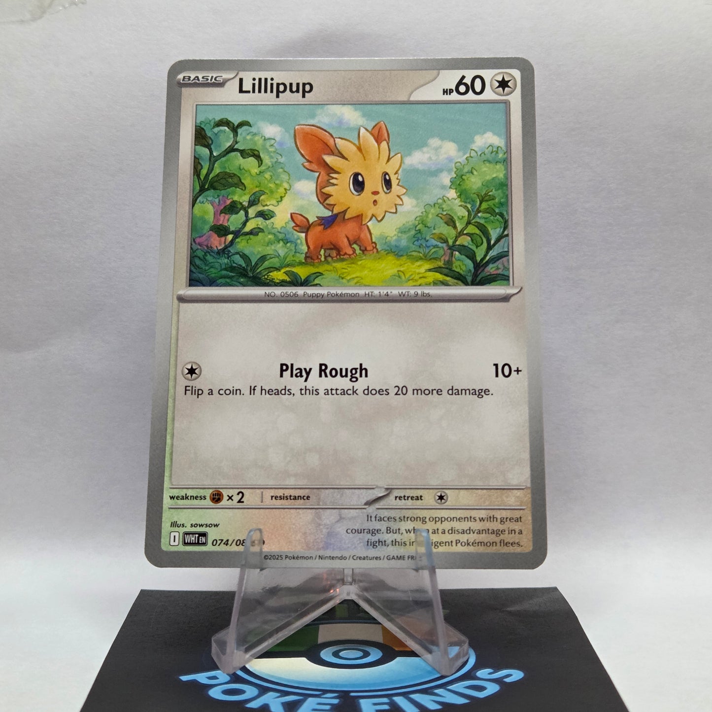 Lillipup #074 - White Flare