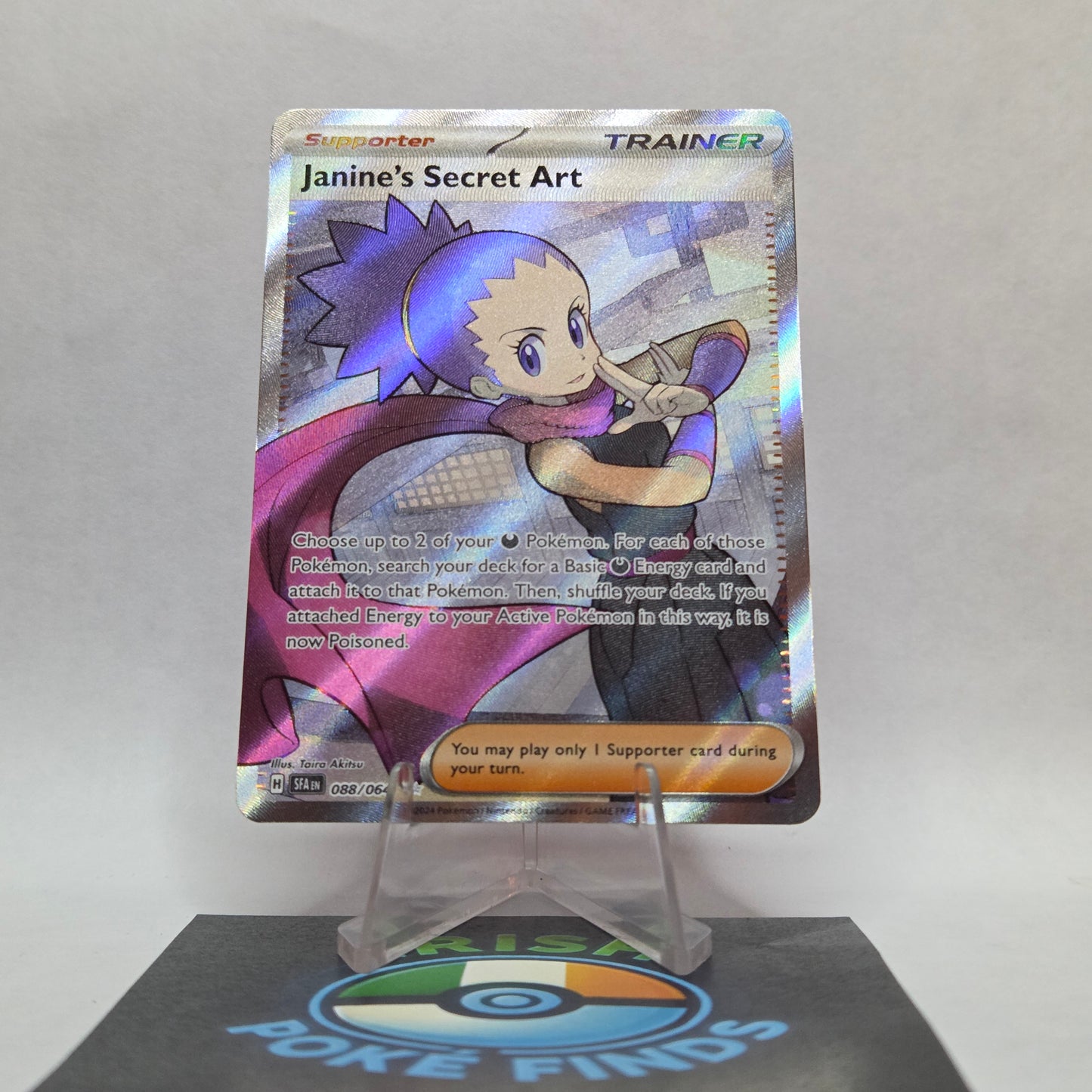 Janine's Secret Art #088 - Shrouded Fable