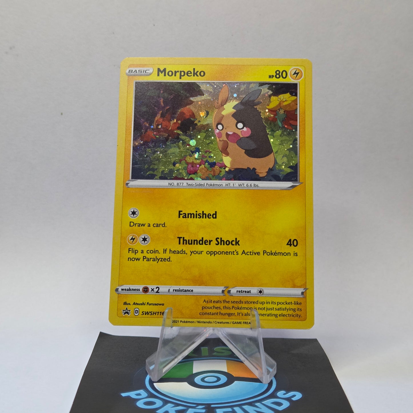 Morpeko (SWSH 116) Black Star Promo - Scarlet & Violet