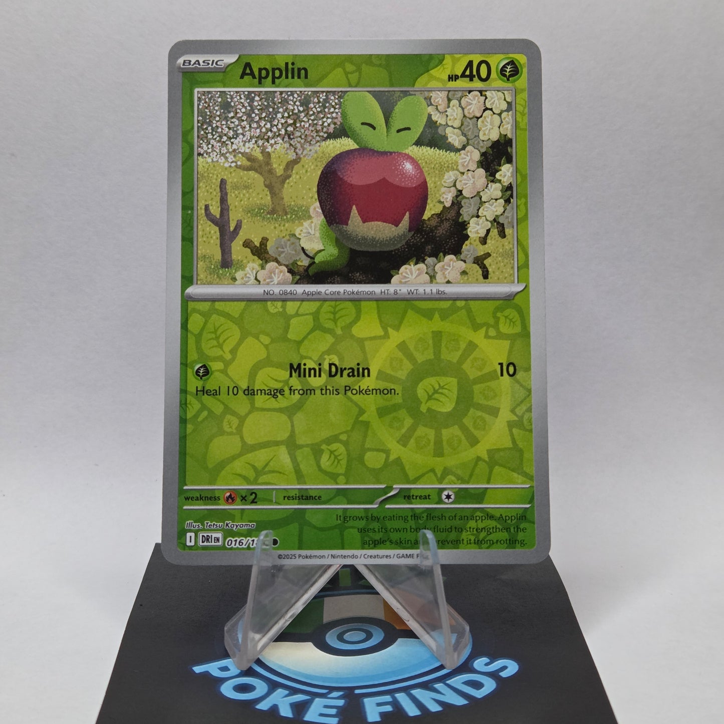 Applin #016 - Destined Rivals