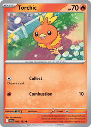 040 Torchic - Destined Rivals