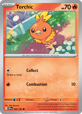 040 Torchic - Destined Rivals