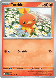 022 Torchic - Journey Together