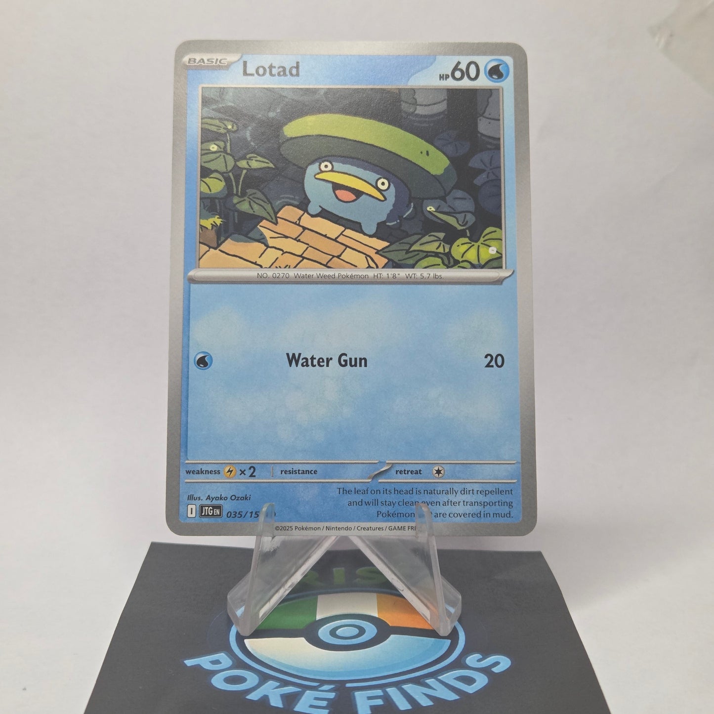 Lotad #035 - Journey Together Front