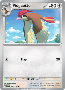 017 Pidgeotto - 151