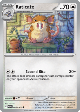 020 Raticate - 151