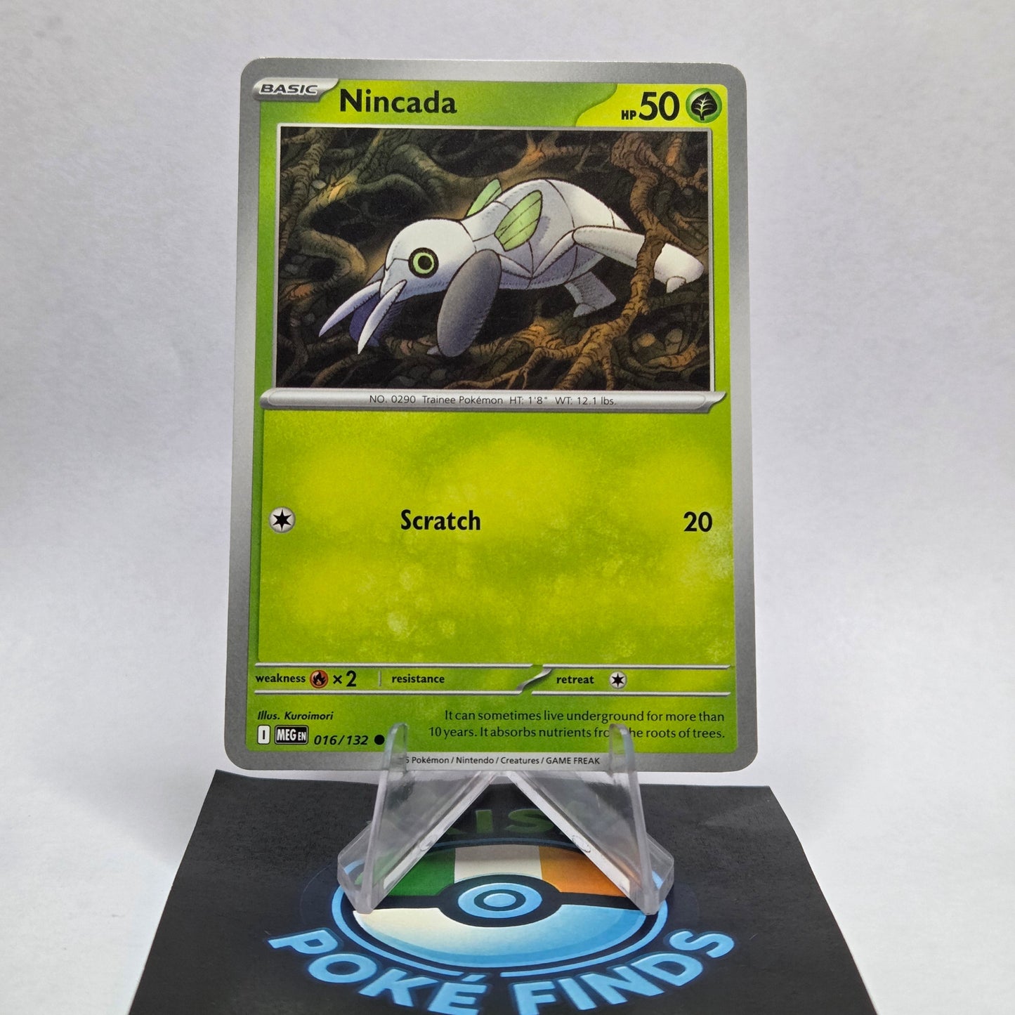 Nincada #016 - Mega Evolution