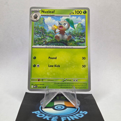 Nuzleaf #014 - Mega Evolution