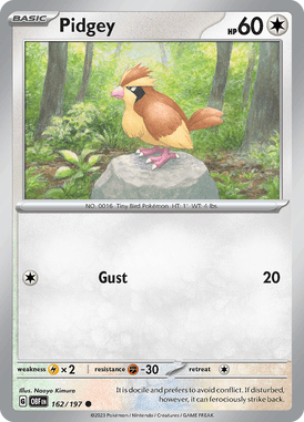 162 Pidgey - Obsidian Flames