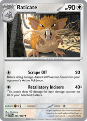 061 Raticate – Perfect Order
