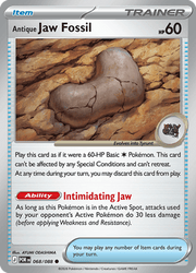 068 Antique Jaw Fossil – Perfect Order