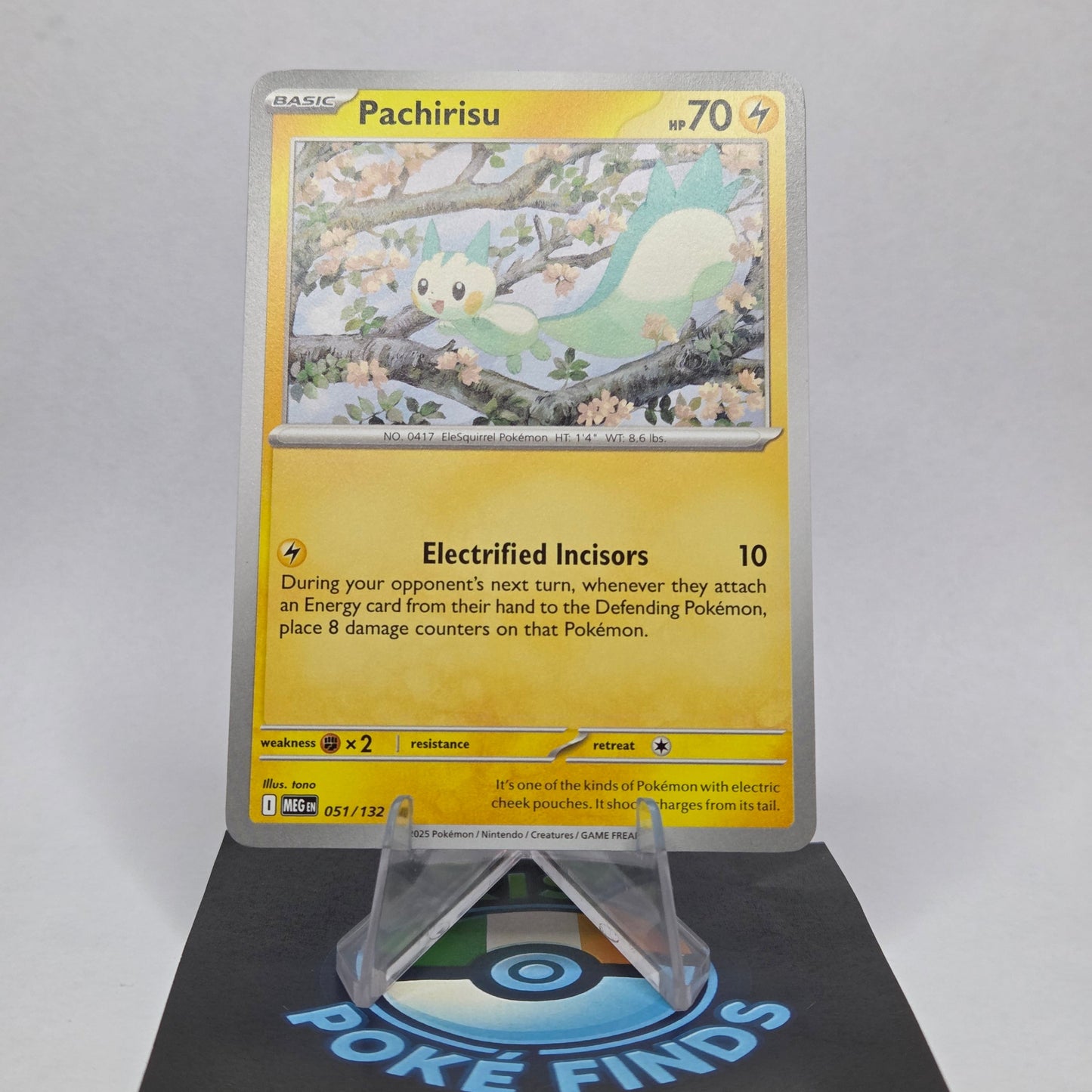 Pachirisu #051 - Mega Evolution