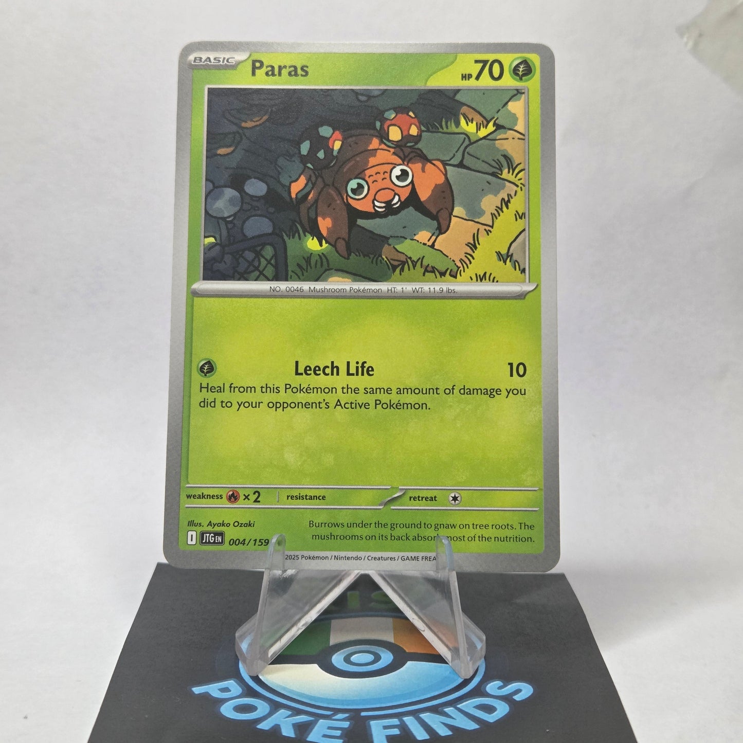 Paras #004 - Journey Together Front