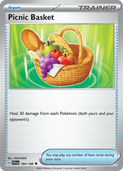 184 Picnic Basket - Scarlet & Violet