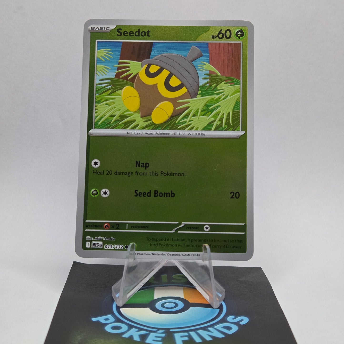 Seedot #013 - Mega Evolution