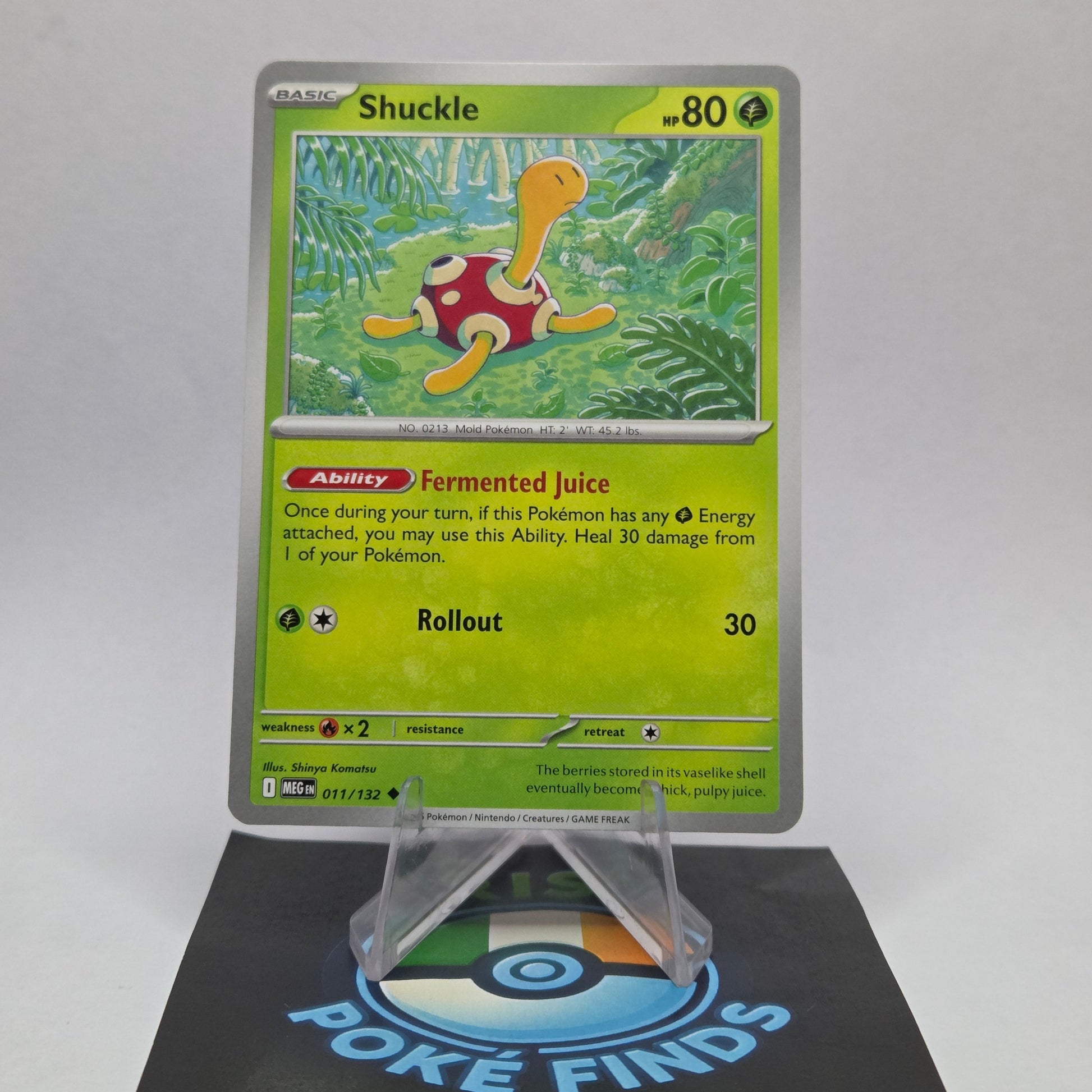 Shuckle #011 - Mega Evolution