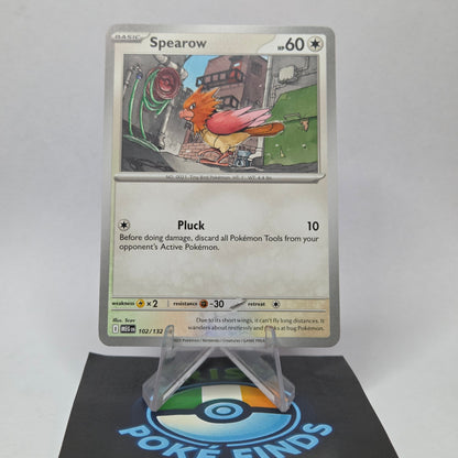 Spearow #102 - Mega Evolution