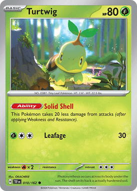 010 Turtwig - Temporal Forces