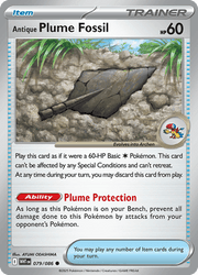 079 Antique Plume Fossil - White Flare