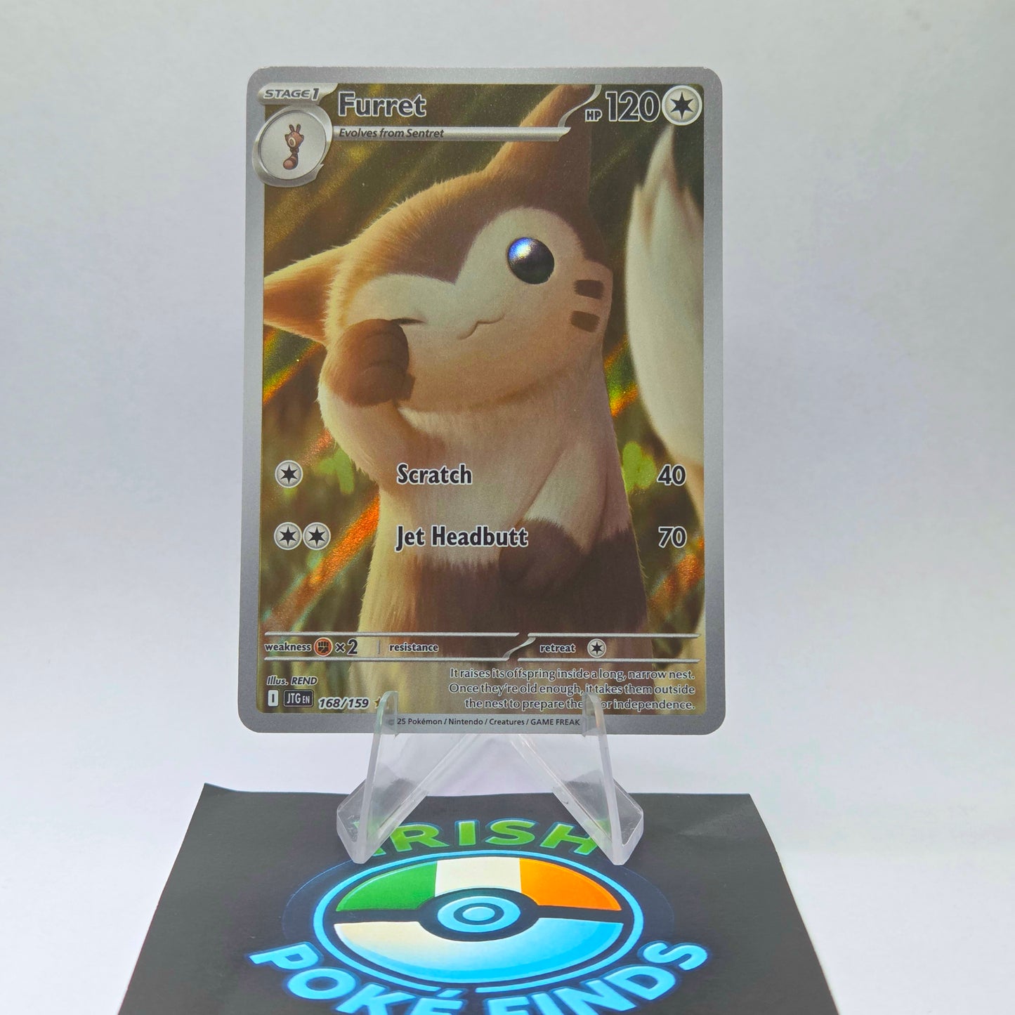 Furret #168 (Full Art) - Journey Together